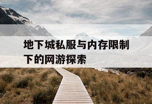 地下城私服与内存限制下的网游探索