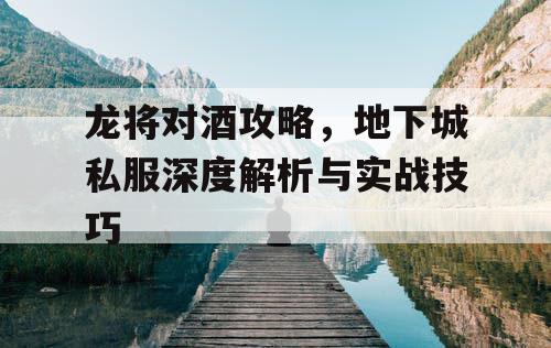 龙将对酒攻略，地下城私服深度解析与实战技巧
