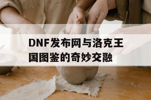 DNF发布网与洛克王国图鉴的奇妙交融
