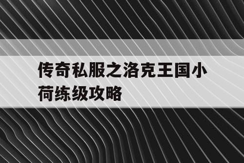 传奇私服之洛克王国小荷练级攻略