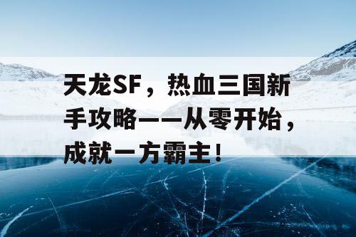 天龙SF，热血三国新手攻略——从零开始，成就一方霸主！