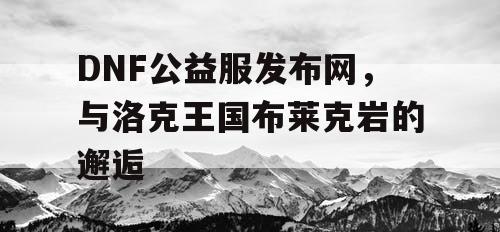 DNF公益服发布网，与洛克王国布莱克岩的邂逅