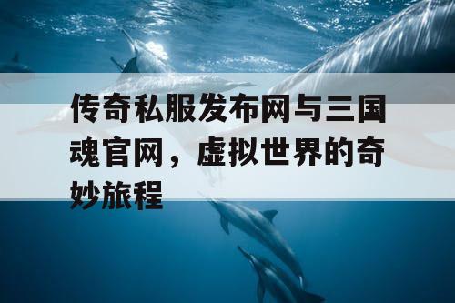 传奇私服发布网与三国魂官网，虚拟世界的奇妙旅程
