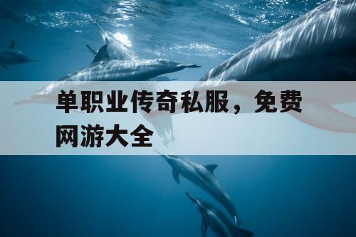 单职业传奇私服，免费网游大全