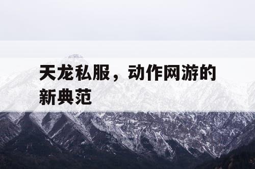 天龙私服,动作网游的新典范 天龙私服,动作网游的新典范