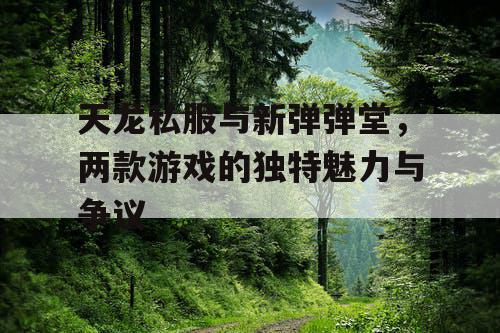 天龙私服与新弹弹堂，两款游戏的独特魅力与争议