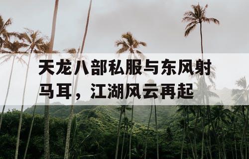 天龙八部私服与东风射马耳，江湖风云再起