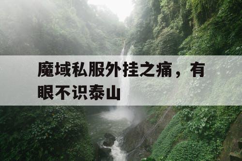 魔域私服外挂之痛，有眼不识泰山