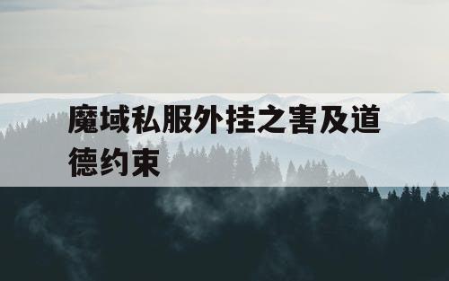 魔域私服外挂之害及道德约束