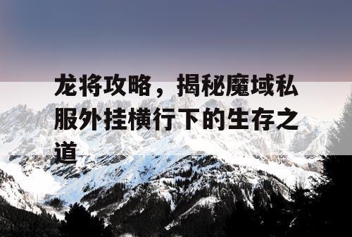 龙将攻略，揭秘魔域私服外挂横行下的生存之道