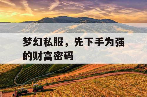 梦幻私服，先下手为强的财富密码