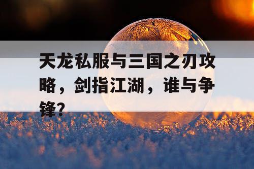 天龙私服与三国之刃攻略，剑指江湖，谁与争锋？