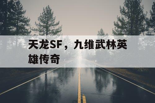 天龙SF，九维武林英雄传奇