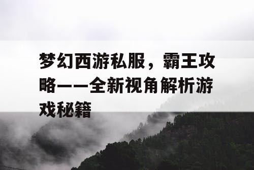 梦幻西游私服，霸王攻略——全新视角解析游戏秘籍