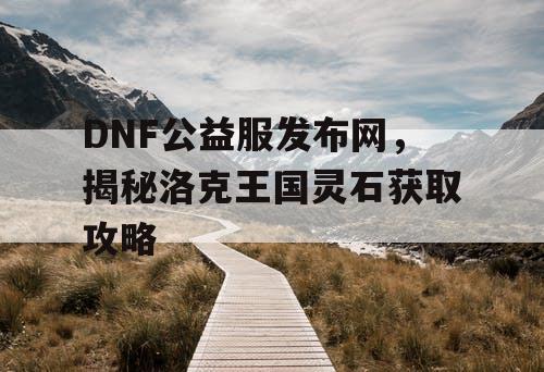 DNF公益服发布网，揭秘洛克王国灵石获取攻略