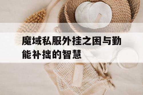 魔域私服外挂之困与勤能补拙的智慧