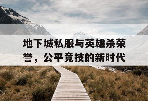 地下城私服与英雄杀荣誉，公平竞技的新时代