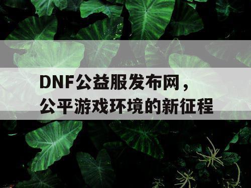 DNF公益服发布网，公平游戏环境的新征程