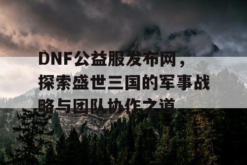 DNF公益服发布网，探索盛世三国的军事战略与团队协作之道