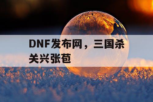 DNF发布网，三国杀关兴张苞