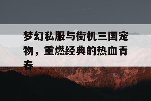 梦幻私服与街机三国宠物，重燃经典的热血青春