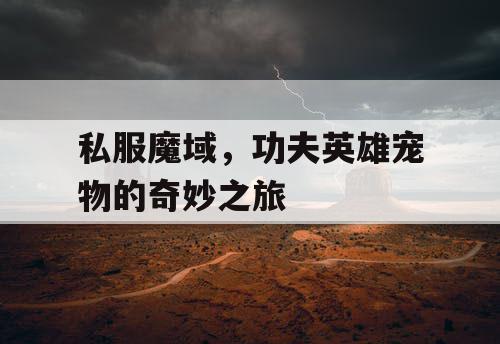 私服魔域，功夫英雄宠物的奇妙之旅
