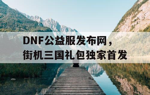 DNF公益服发布网，街机三国礼包独家首发