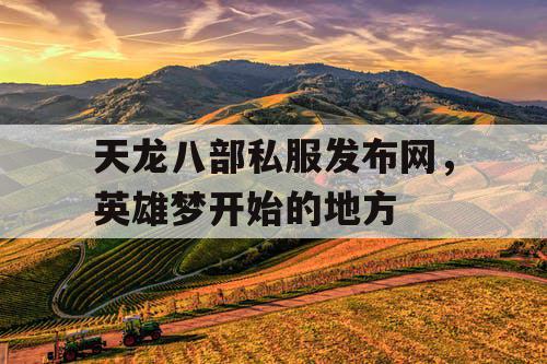 天龙八部私服发布网，英雄梦开始的地方