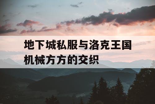 地下城私服与洛克王国机械方方的交织