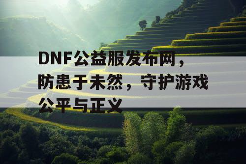 DNF公益服发布网，防患于未然，守护游戏公平与正义