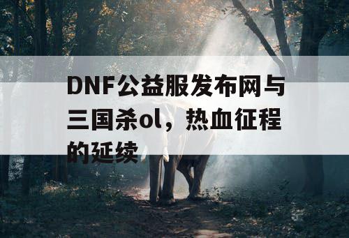 DNF公益服发布网与三国杀ol，热血征程的延续