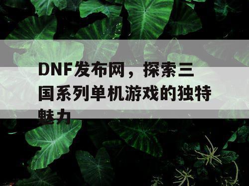 DNF发布网，探索三国系列单机游戏的独特魅力