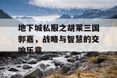 地下城私服之胡莱三国郭嘉，战略与智慧的交响乐章