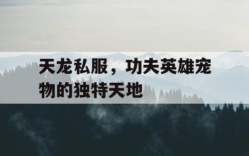 天龙私服,功夫英雄宠物的独特天地 天龙私服,功夫英雄宠物的独特天地