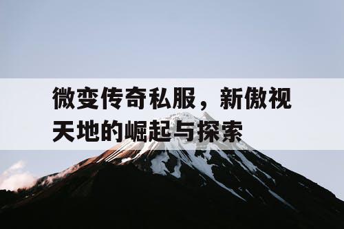 微变传奇私服，新傲视天地的崛起与探索