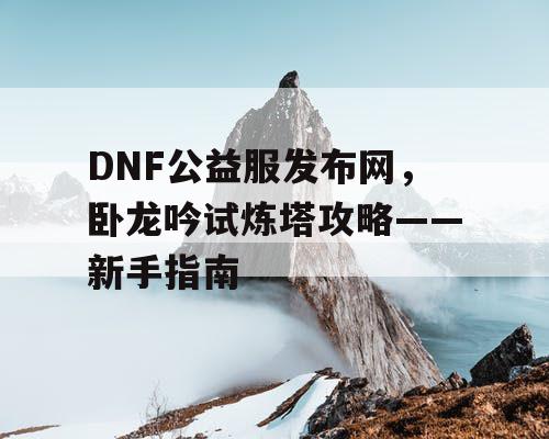 DNF公益服发布网，卧龙吟试炼塔攻略——新手指南