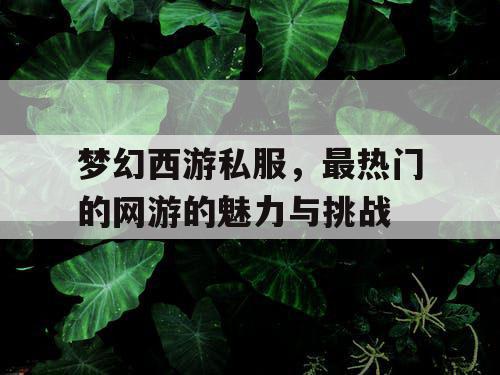 梦幻西游私服，最热门的网游的魅力与挑战