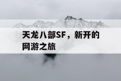 天龙八部SF，新开的网游之旅