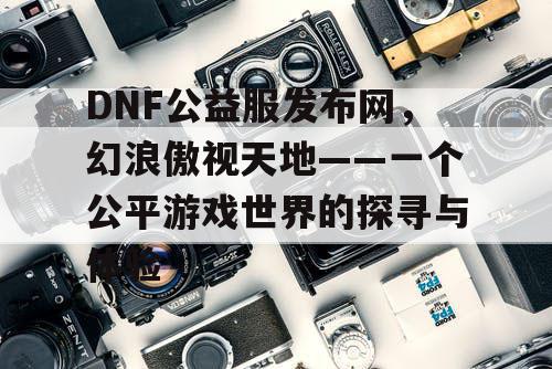 DNF公益服发布网，幻浪傲视天地——一个公平游戏世界的探寻与体验