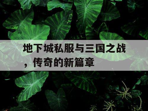 地下城私服与三国之战，传奇的新篇章