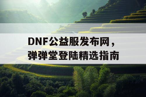 DNF公益服发布网，弹弹堂登陆精选指南