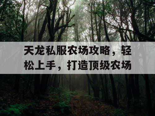 天龙私服农场攻略,轻松上手,打造顶级农场 天龙私服农场攻略,轻松上手,打造顶级农场