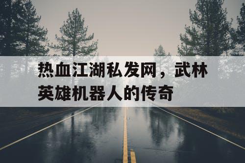 热血江湖私发网，武林英雄机器人的传奇