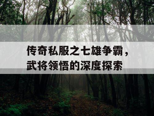 传奇私服之七雄争霸，武将领悟的深度探索
