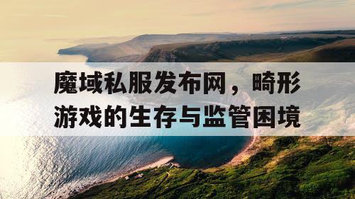魔域私服发布网，畸形游戏的生存与监管困境