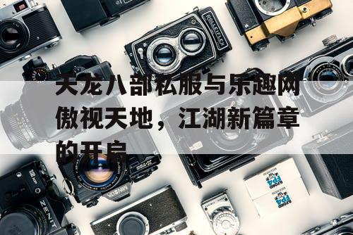 天龙八部私服与乐趣网傲视天地，江湖新篇章的开启