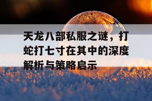 天龙八部私服之谜，打蛇打七寸在其中的深度解析与策略启示