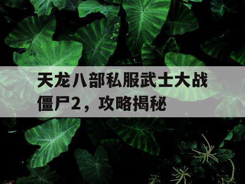天龙八部私服武士大战僵尸2，攻略揭秘