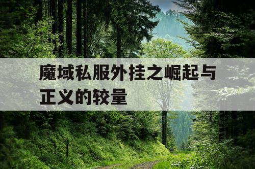 魔域私服外挂之崛起与正义的较量