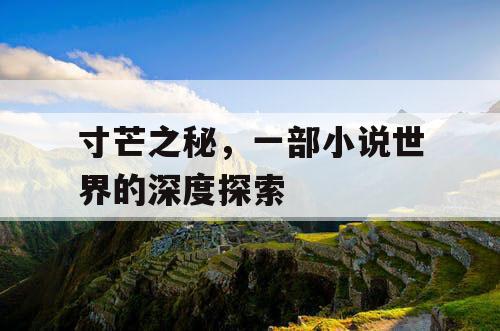 寸芒之秘，一部小说世界的深度探索